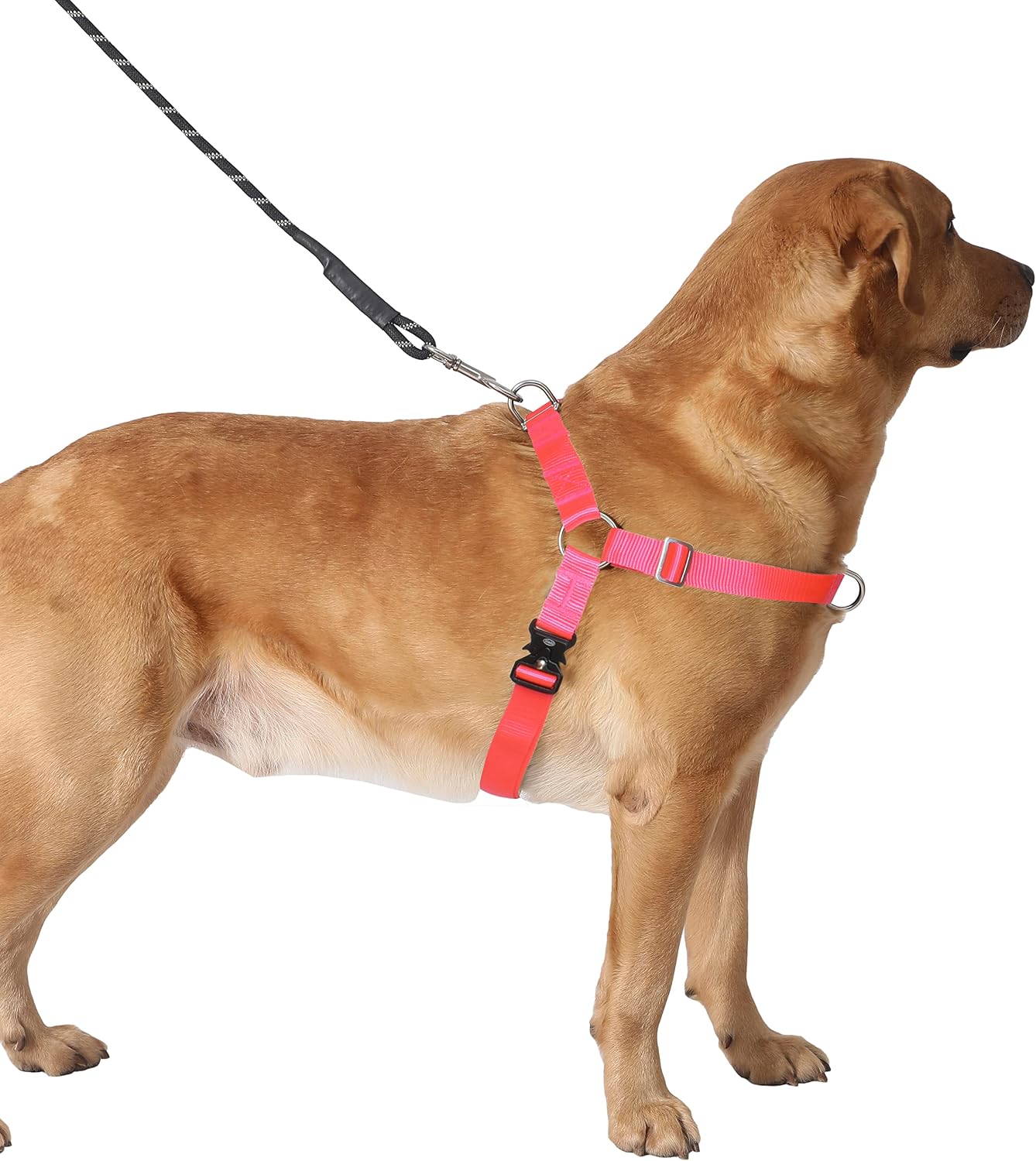 Hiado Dog Harness with Front Clip and Back Clip No Pull Adjustable for Small Medium Large Dogs Rose M
