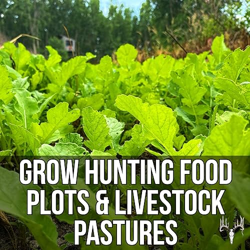 Miniatura 8 de Branson's Buffalo Blend, paquete ecológico de 12 libras, semillas de parcela de alimentos de cola blanca para ciervos, pavos, faisanes, palomas,