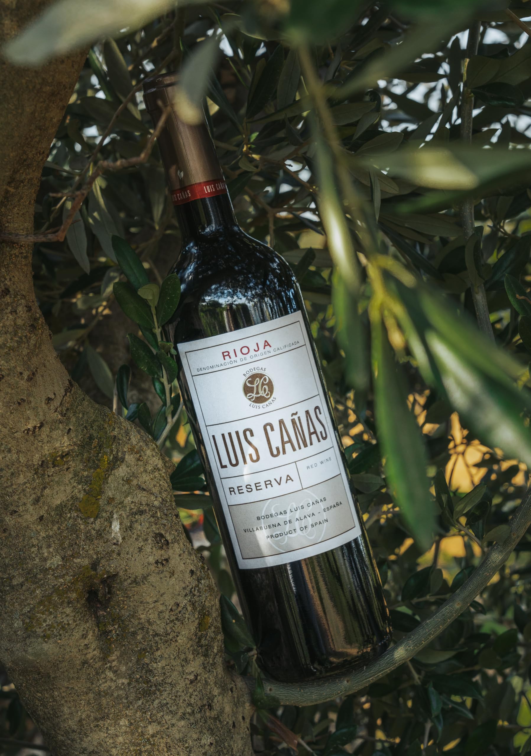 Luis Cañas - Vino Tinto con D.O. Rioja - Reserva - Variedad Tempranillo y Graciano - Notas de Fruta Negra - Reposo en Barricas de Roble Francés y Americano - Estuche Cartón - 3 Botellas de 75 cl