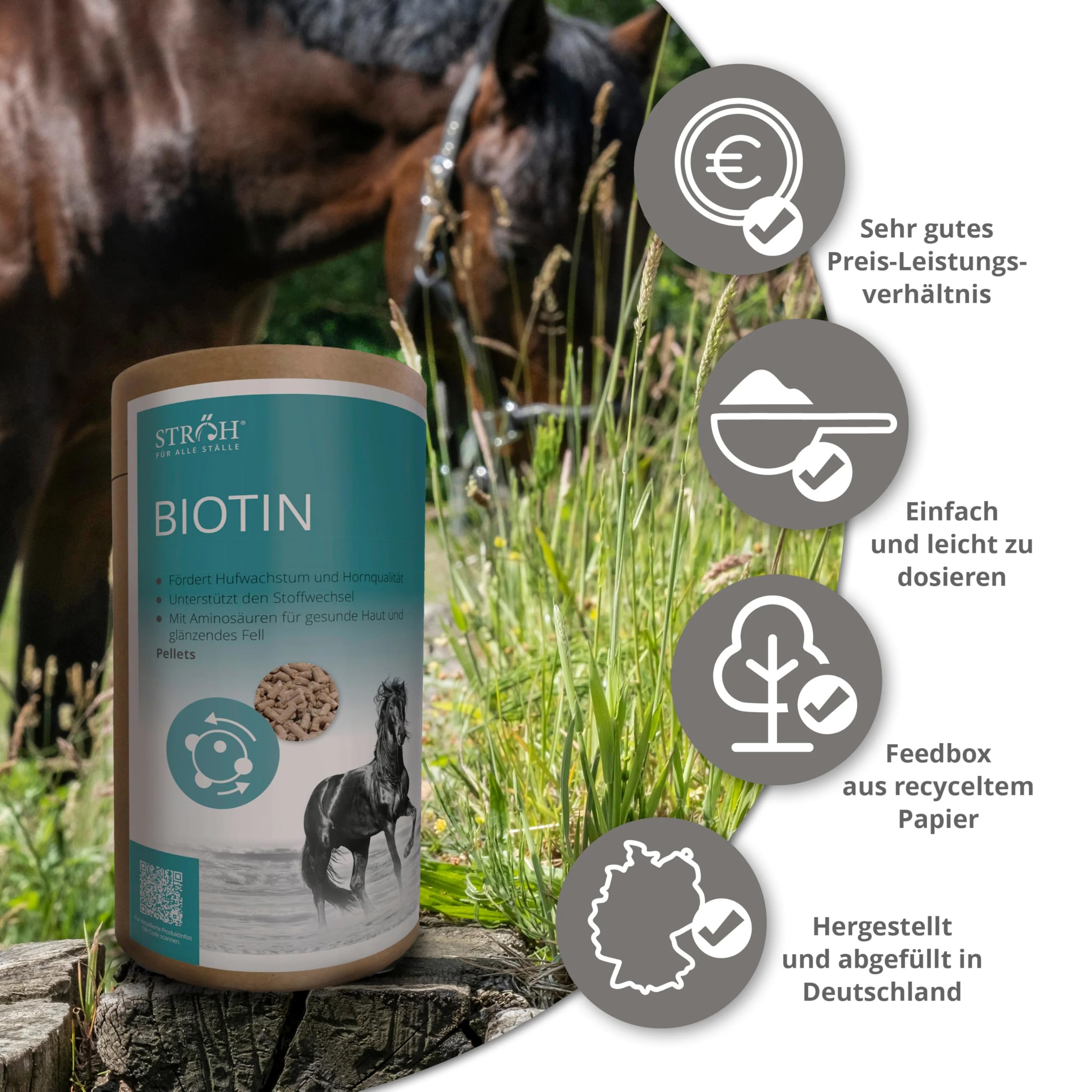 STRÖH Biotin für Pferde - Mit Aminosäuren + Zink - 1,2 kg Feedbox Dose