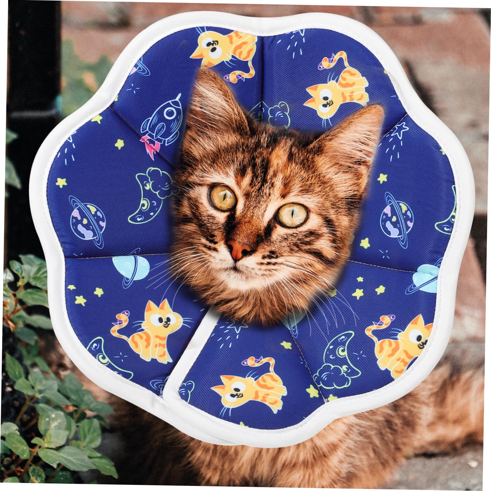 POPETPOP 5 Pz morbido per gatti coni per gatti dopo l'intervento collare elisabettiano gatto collarino cane cucciolo collarini gattini ciambella di gatto gattino spugna