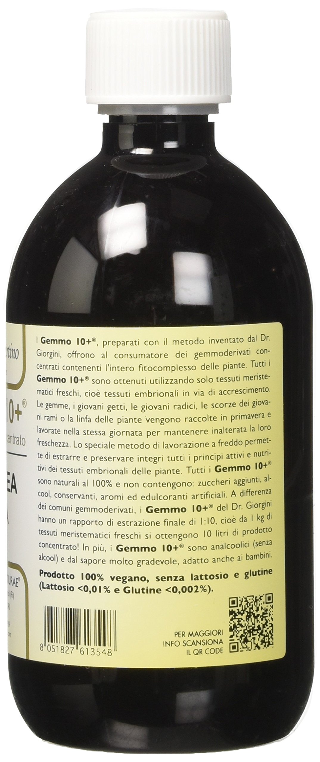 Dr Giorgini Integratore Alimentare, Castagno Gemmoderivato Concentrato Liquido Analcoolico - 500 ml