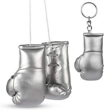 Titan Mini Boxing Gloves Set, Silver