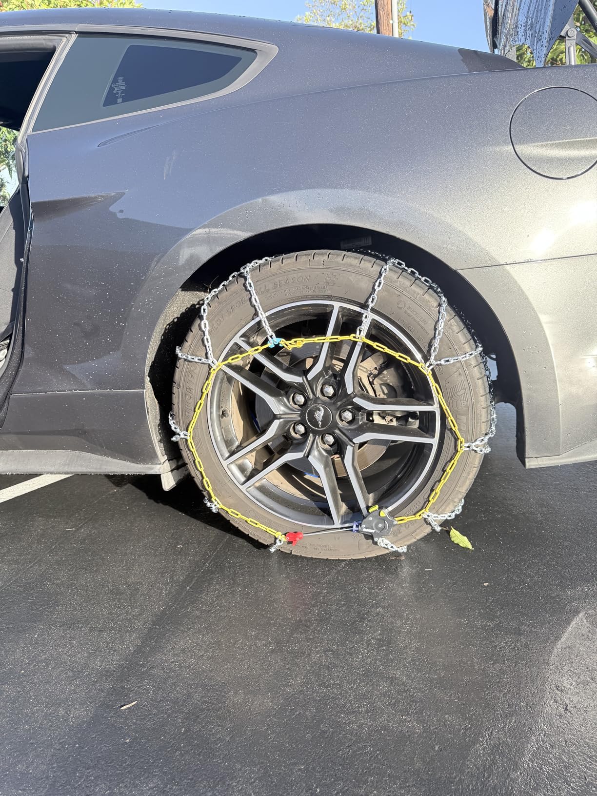 Customer review image