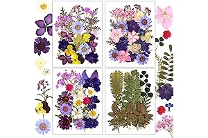 Resiners 100Pcs Pressed Dried Real Dried Lilac Flowers Embellishments