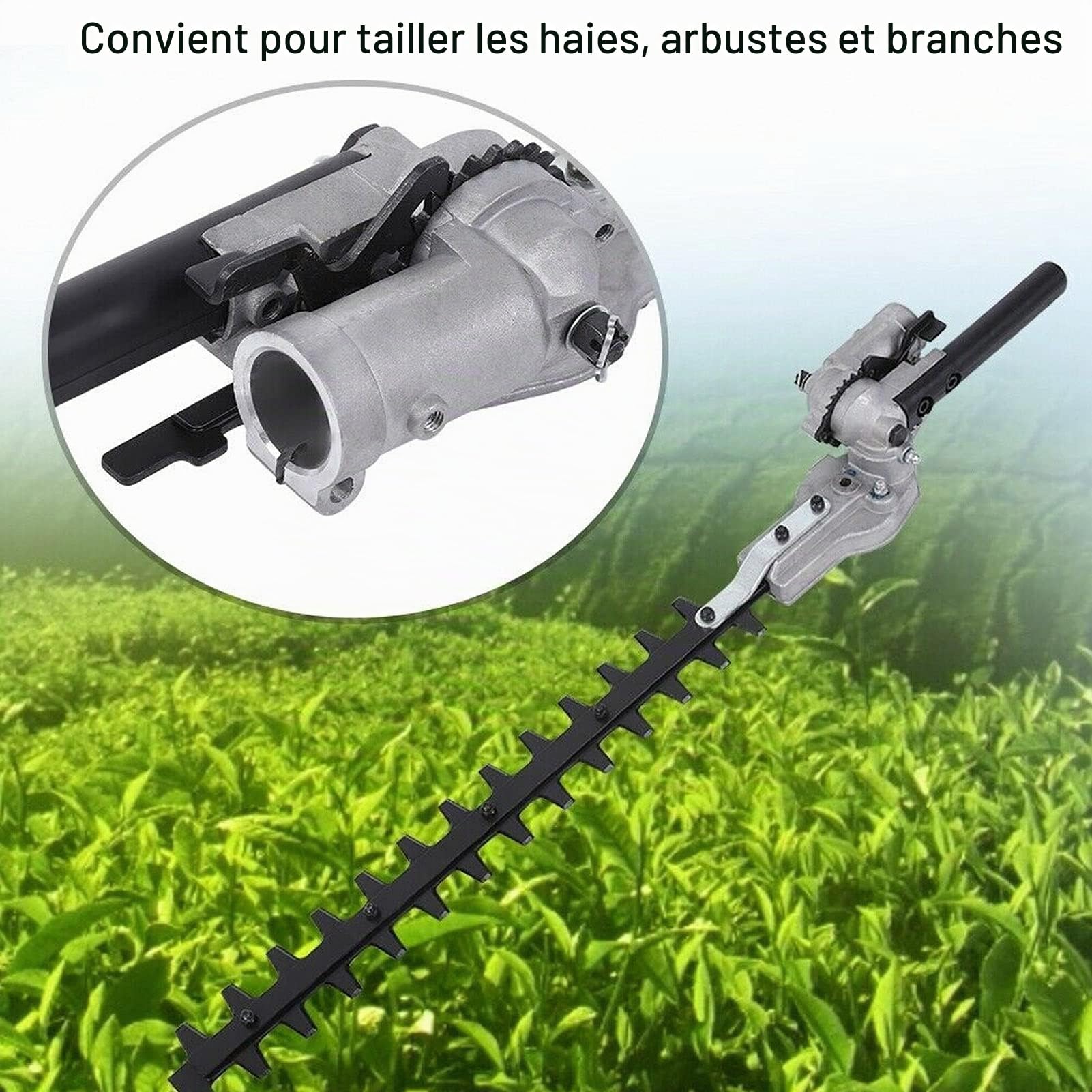 Tête de taille-haie à double tranchant, acier au manganèse 65 haute résistance, alliage d'aluminium, durable et résistant à l'usure, pour tailler les haies, les arbustes, les