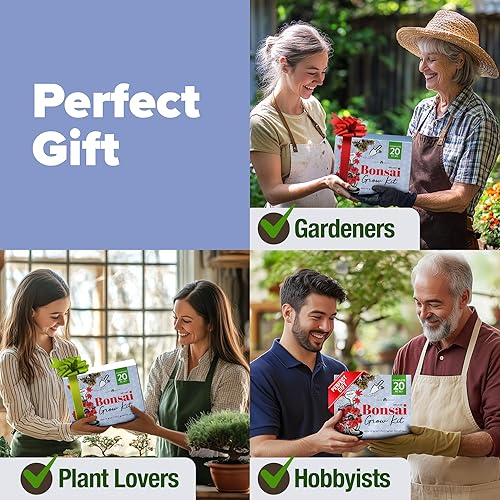 Miniatura 5 de HOME GROWN Kit de Árbol Bonsái – Juego Inicial Premium de Cerámica con 4 Variedades de Bonsái – Fácil Regalo de Jardinería Interior para Hombres