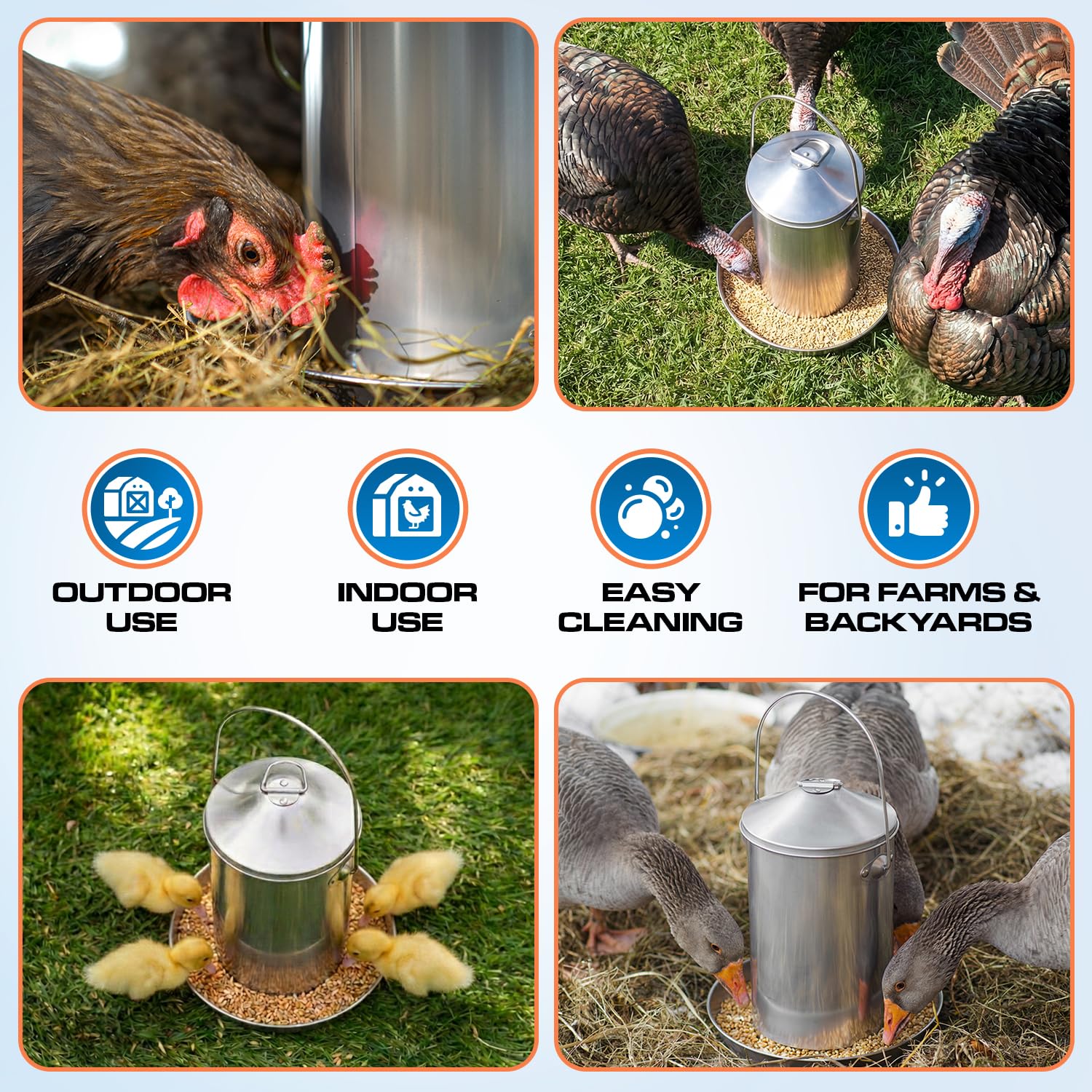 Plexon Mangiatoia automatica per polli in acciaio inox, 3 kg, per uso alimentare, per pollame, in metallo, resistente, affidabile, a lunga durata, con manico