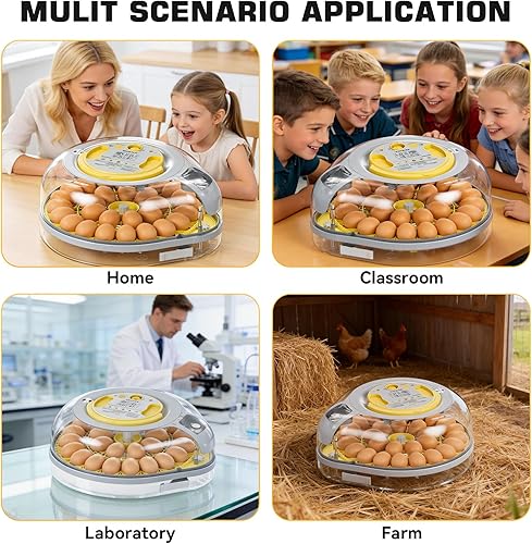 Miniatura 8 de Incubadora de 26 huevos para incubar huevos con guía de voz inteligente, vista de 360° con control automático de temperatura y humedad, giro