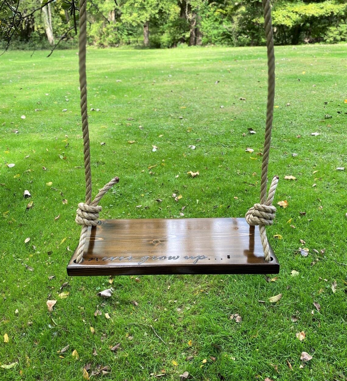GIANTEX Sheesham Wood Rectangular Chair Swing with Nylon Rope for Kids Adults Solid Wooden Tree Swings Chair Jhula for Indoor and Outdoor Garden (23x11x2 Inches, Honey Finish)