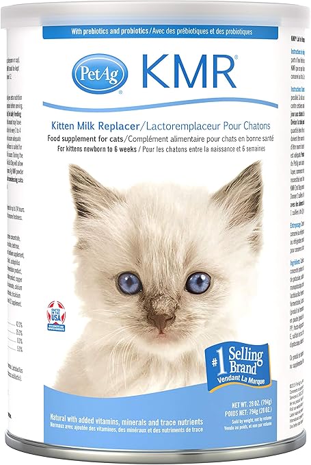 What kind of milk do kittens need Clearance