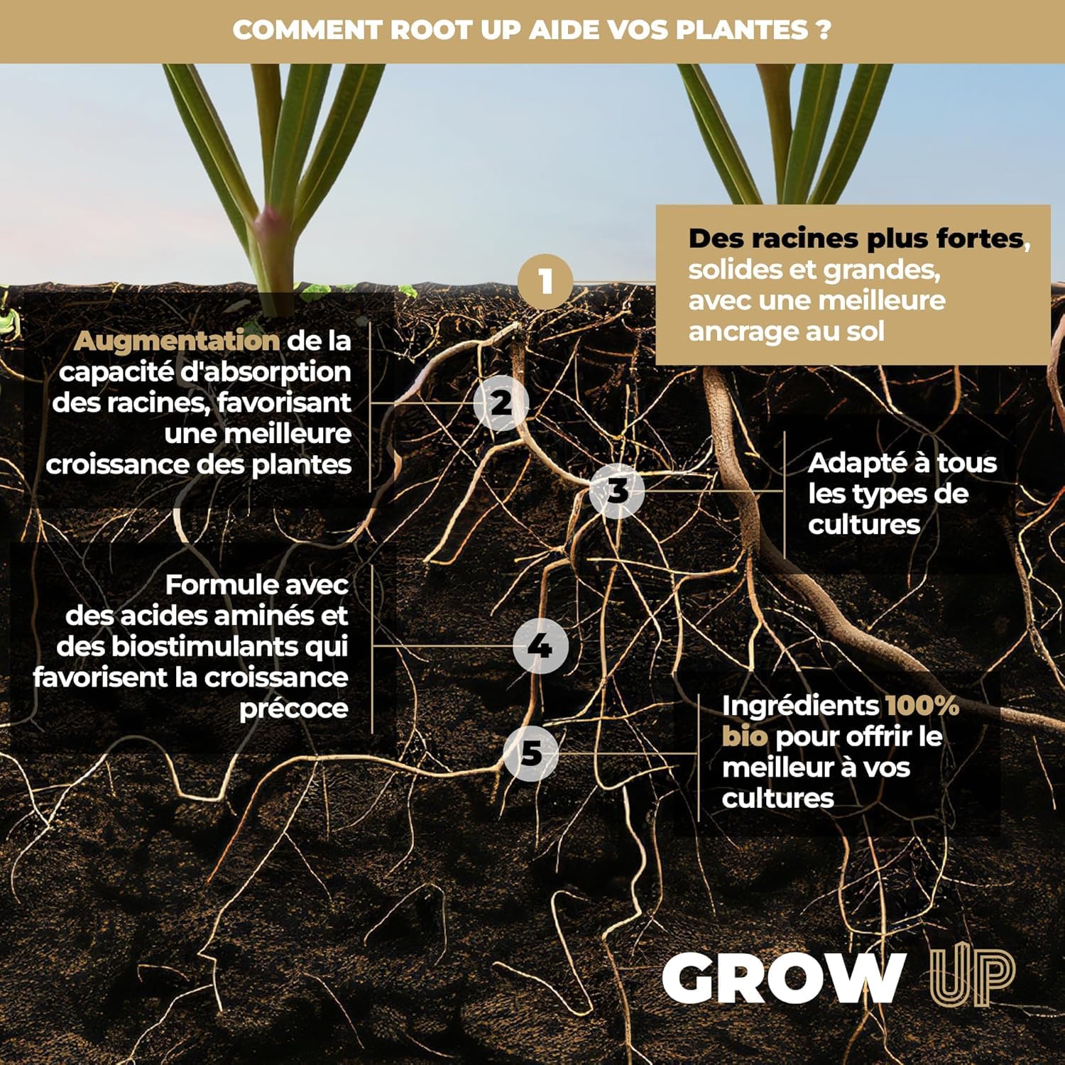 UP NUTRIENTS Bio Stimulateur racinaire ROOT UP 500 ml Engrais organique pour plantes, cultures et boutures Engrais activateur de racines robustes, grandes et solides