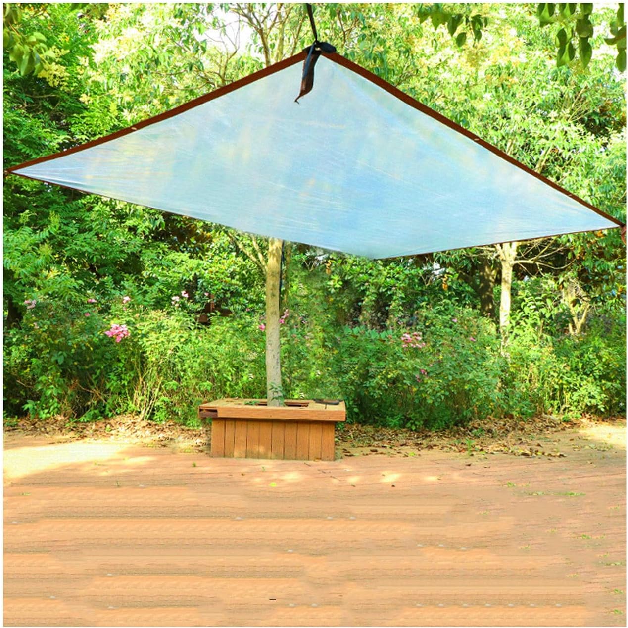 STTHOME Toldo Exterior Impermeable, Transparente Impermeable Lona de Protección Impermeable/A Prueba de Viento/A Prueba de Polvo/A Prueba de Lluvia Exterior PE Toldo Barato (Size : 1x2m)