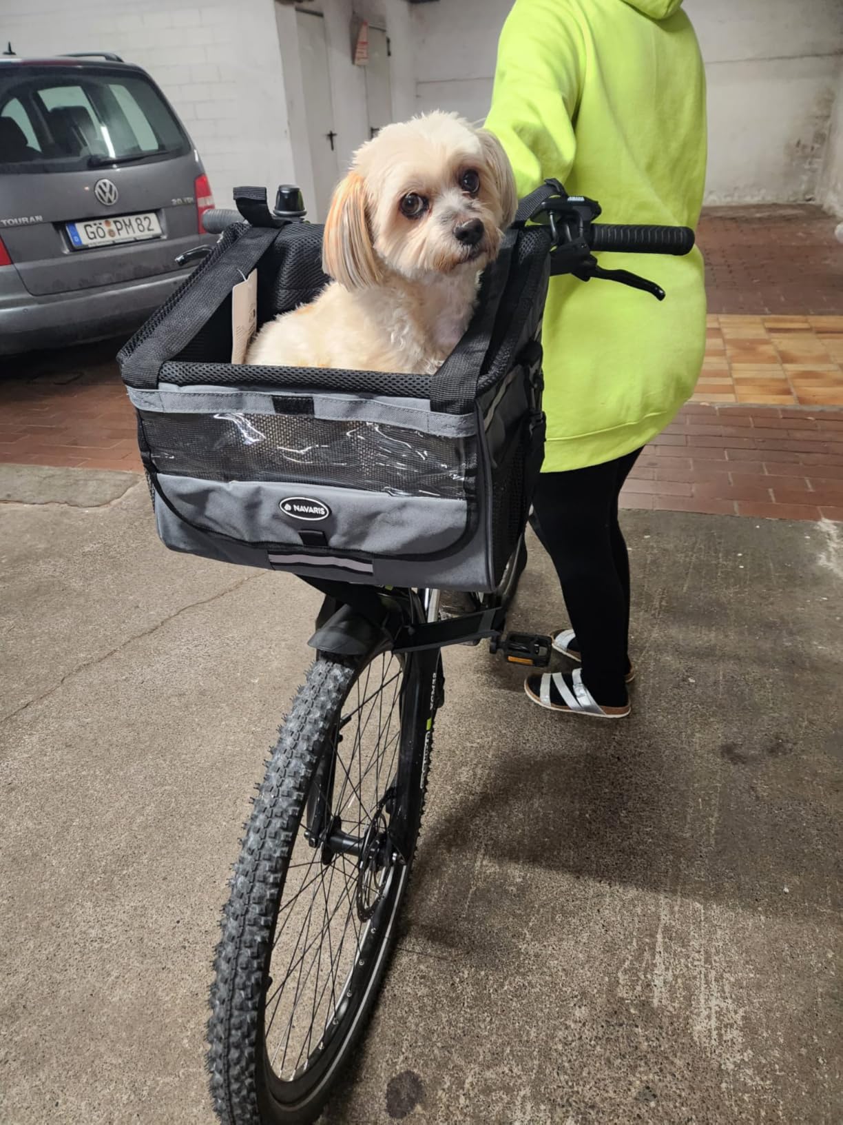 Schne Fahrradkorb Vorne Hund Ebenbild