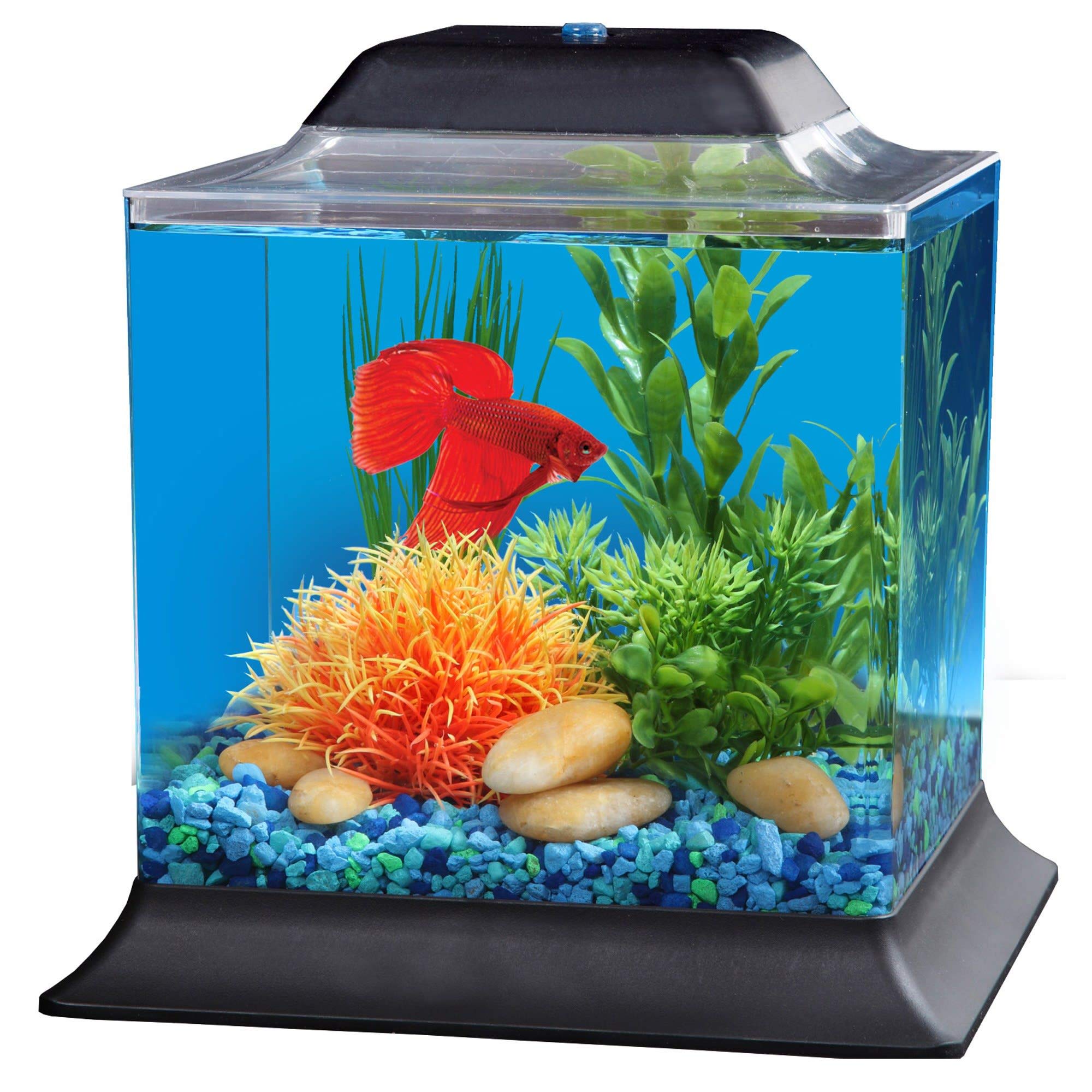 Hot petco betta aquarium Online Sale