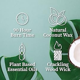 Hemlock Park Crackling Wood Wick Candle Handcrafted with Natural Coconut Wax (Large 16 oz, Blood Orange Sage)