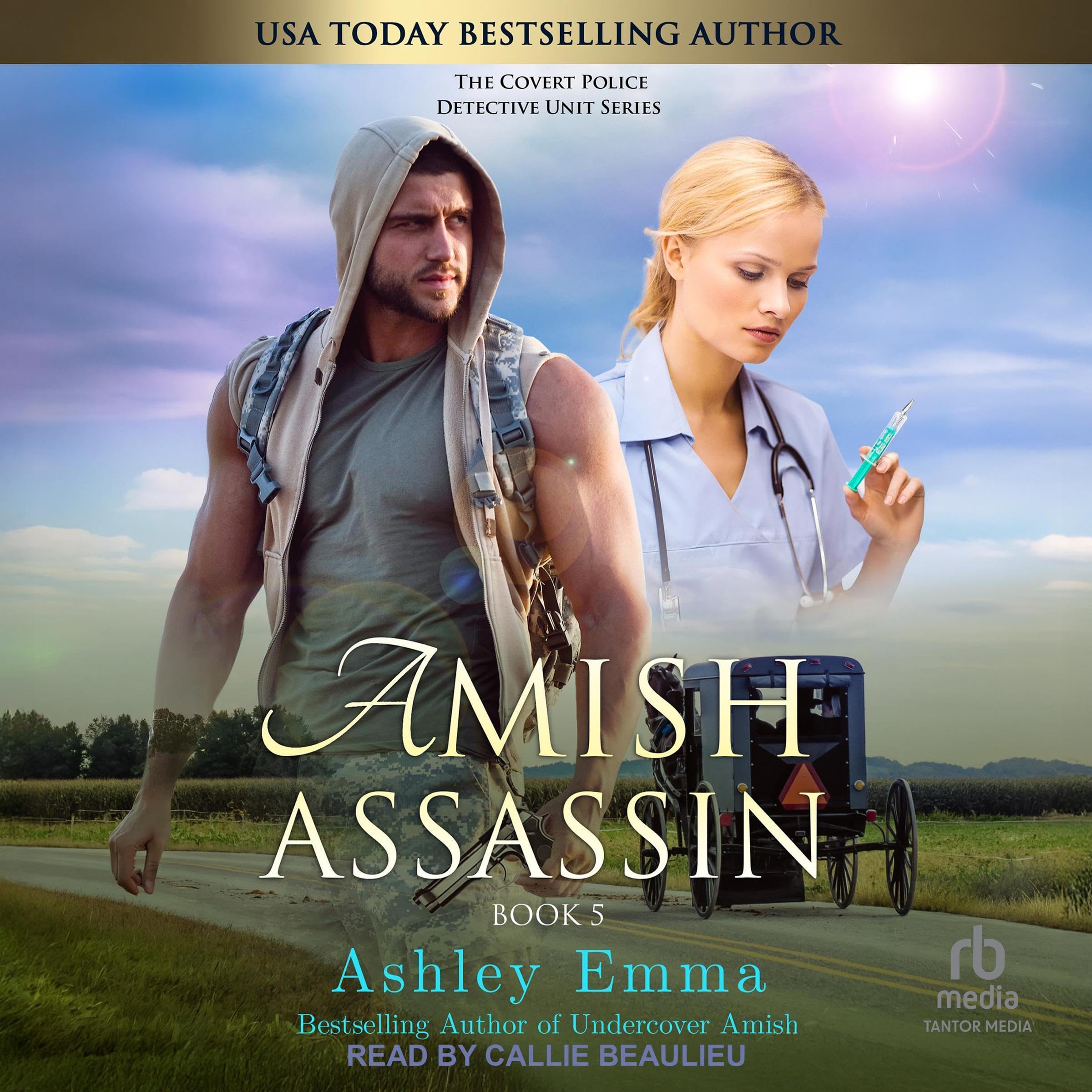 Cover art for Amish Assassin