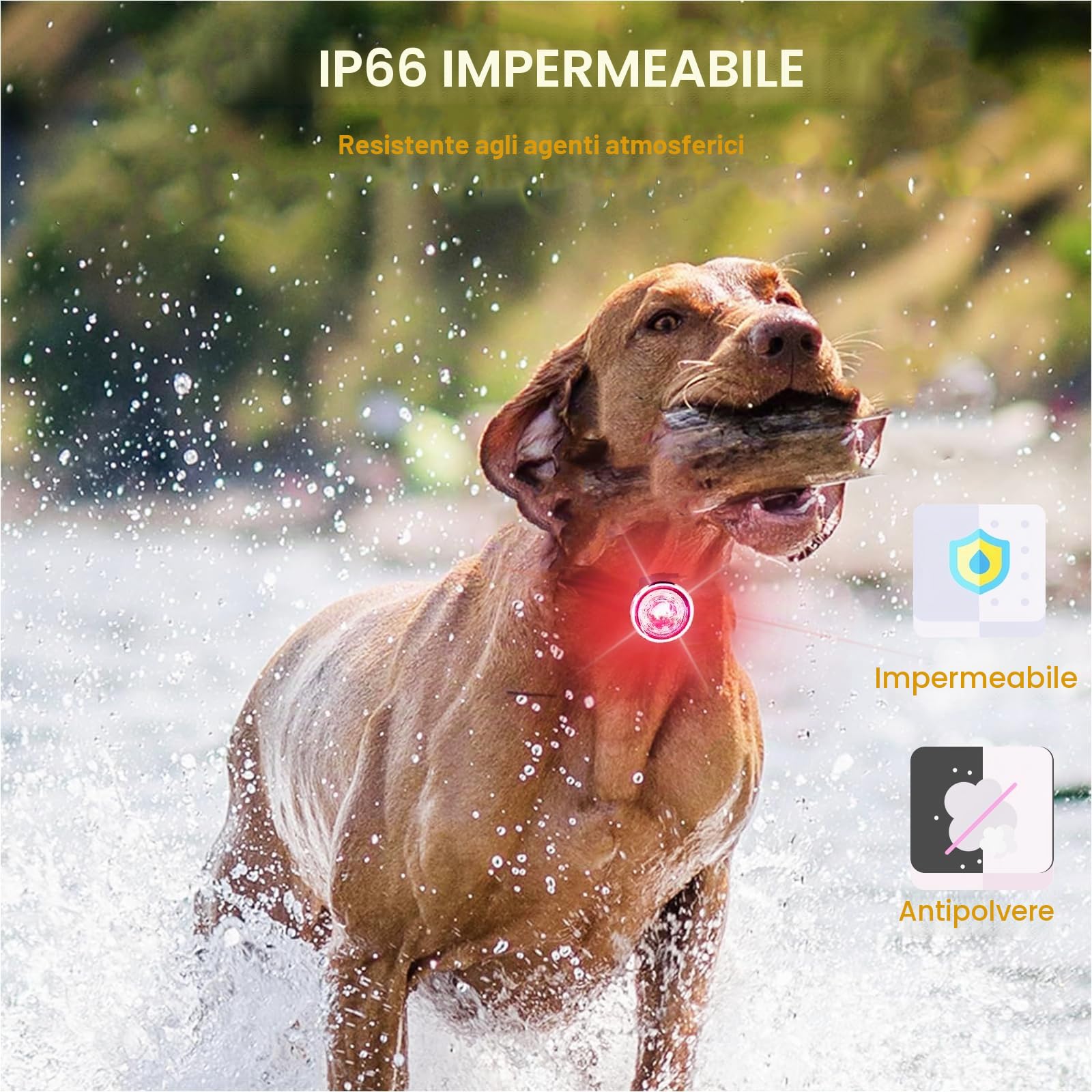 Tubasion Confezione da 2 luci per cani per passeggiate notturne, 8 modalità di luci ricaricabili migliorate per collare per cani per clip notturna, IPX6 impermeabile e luci di sicurezza a banda di