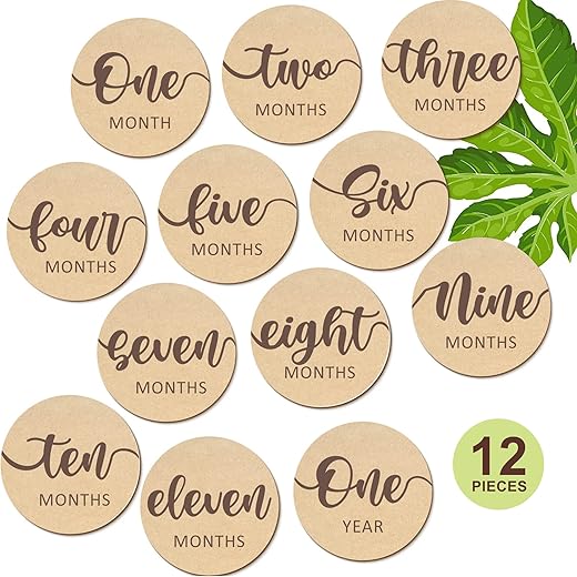 Baby Monthly Milestone Cards 12 Count