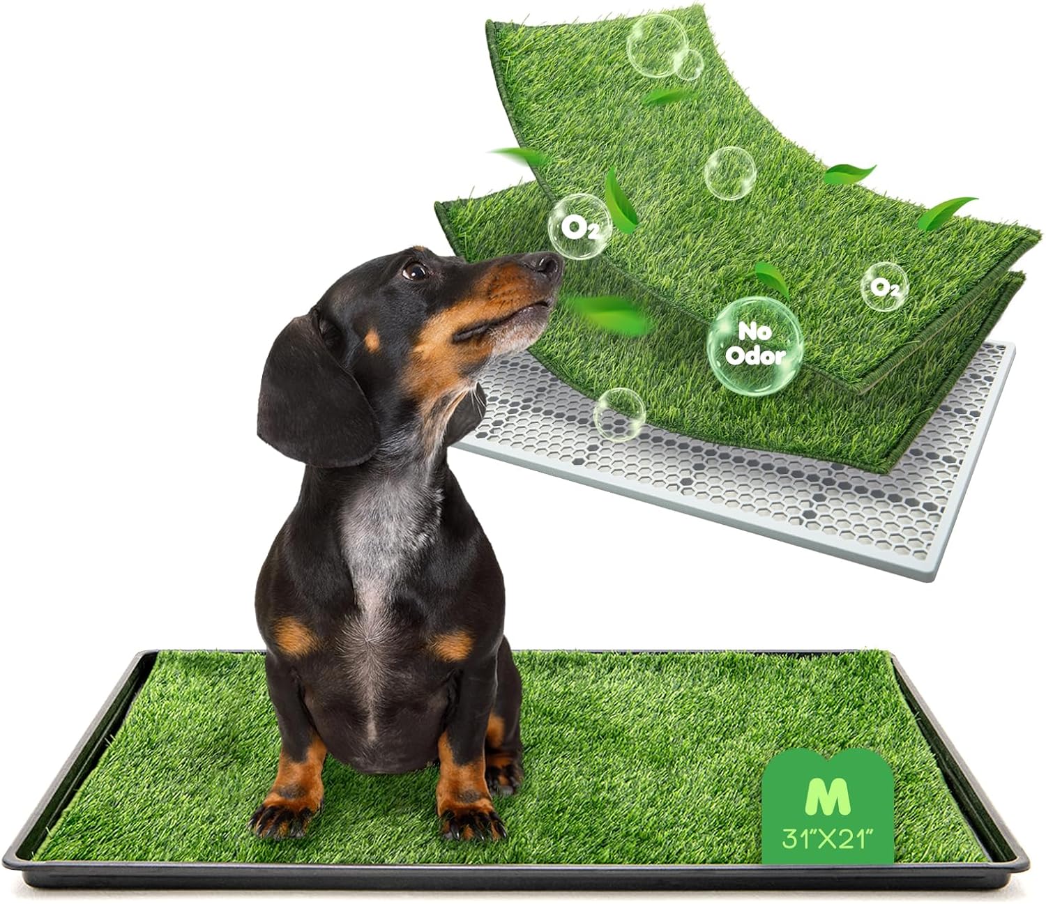 Dog Grass Pad with Tray, 3121in Medium Litter Box, 2Grass Pad for Dogs Potty Washable, Thick Soft Odor-Free Hemmed Dog Pee Grass, Indoor Potty Training Balcony