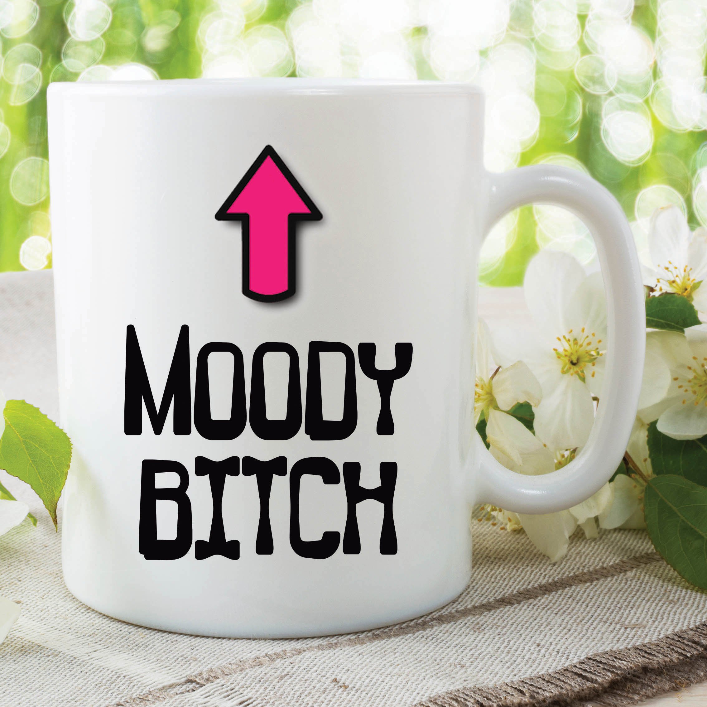 Peachy Antics White Novelty Funny Mugs Moody Bitch Girlfriend Wife Friend Joke Humour Cup Wsdmug497