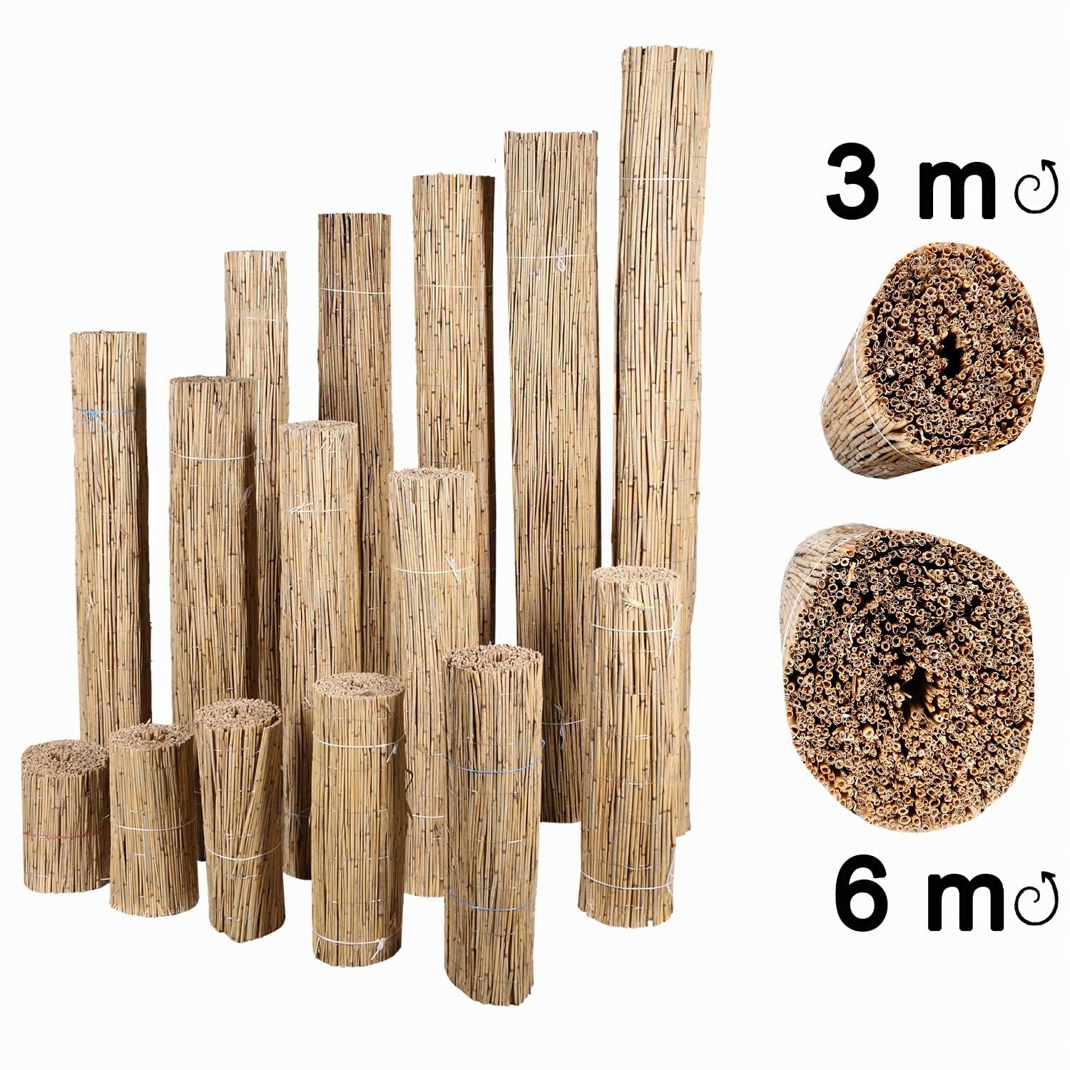H4L Schilfmatte Sichtschutzmatte Schilfrohrmatte Natur Sichtschutz Windschutz Schilf 300x150cm