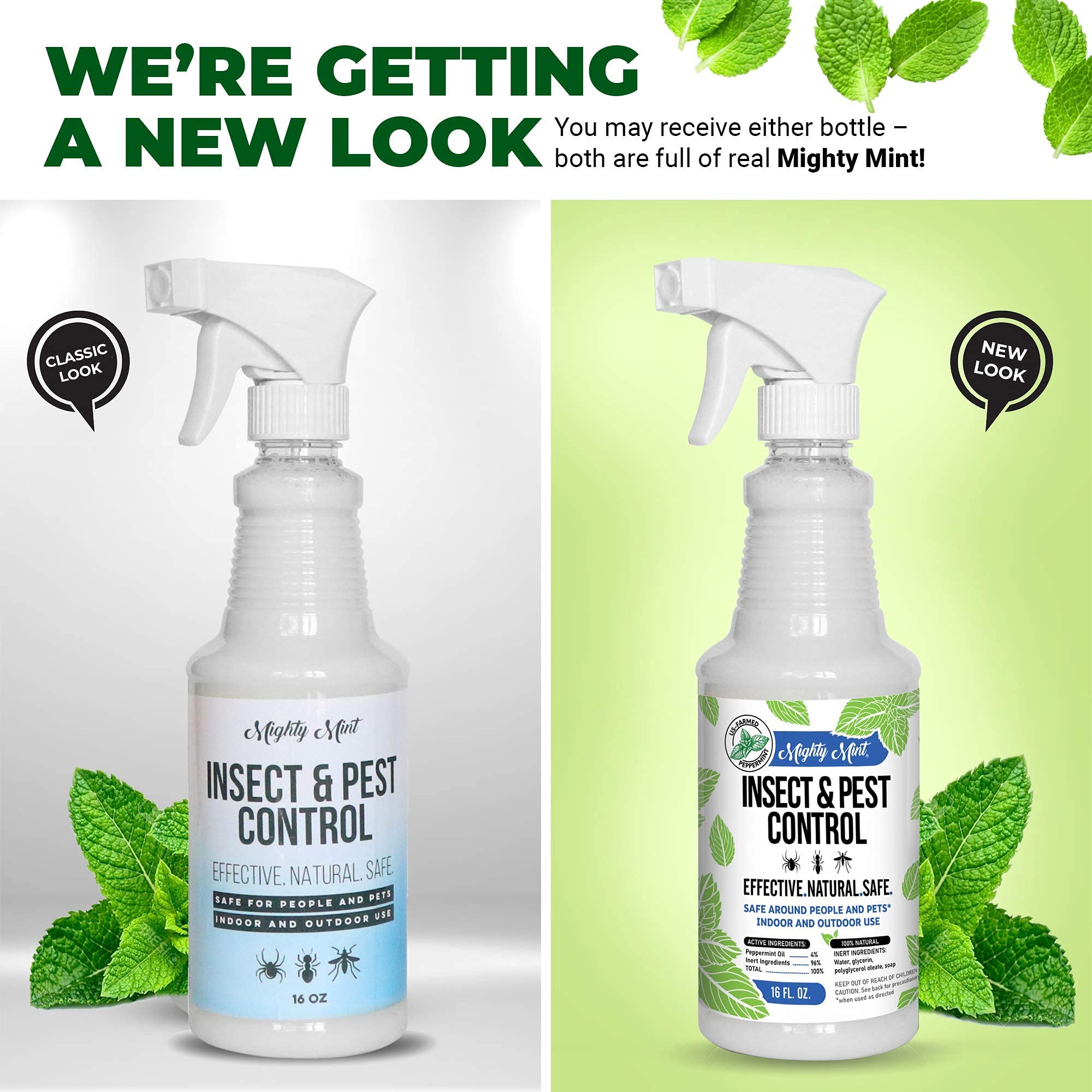 Mighty Mint 16oz Insect and Pest Control Peppermint Oil Natural