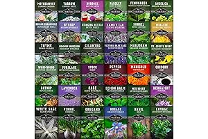 Ultimate Medicinal Herbs Collection for Outdoor Gardening