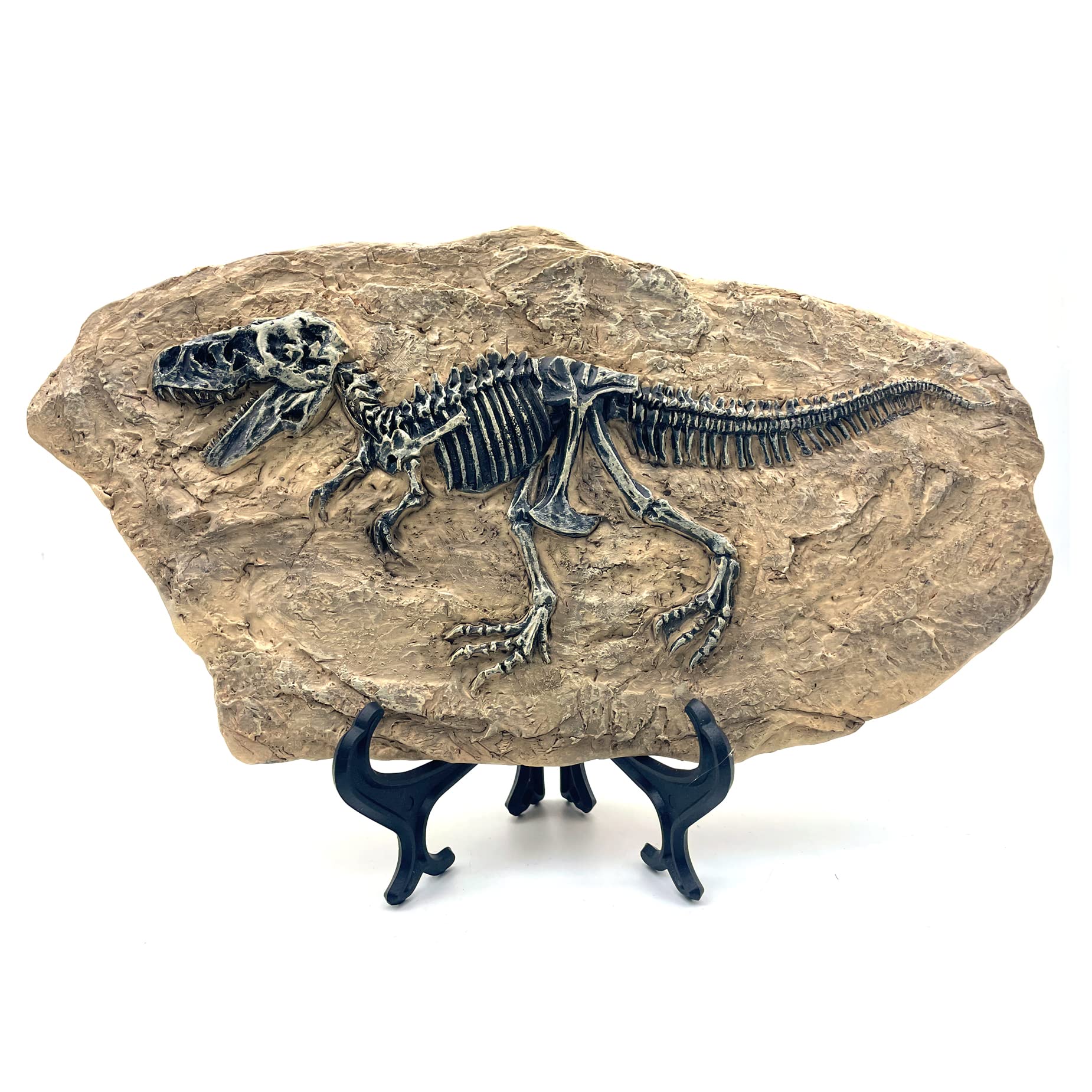 Amazon.co.jp: FUNSXBUG 樹脂 恐竜 スケルトン 化石 像 置物 彫刻 収集