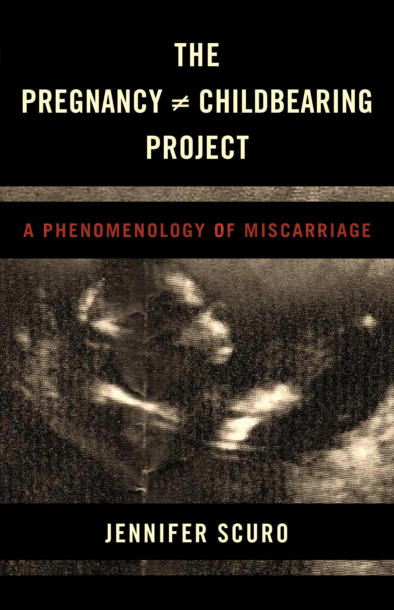 Buy The Pregnancy Does-not-equal Childbearing Project: A Phenomenology of Miscarriage — BookShops.in