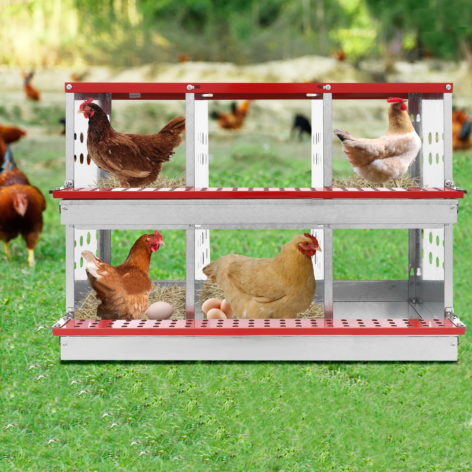 Chicken Nesting Box,6 Compartment Nesting Box for Chickens with Egg Collection Roll,Metal Chicken Coop Laying Box for Hens