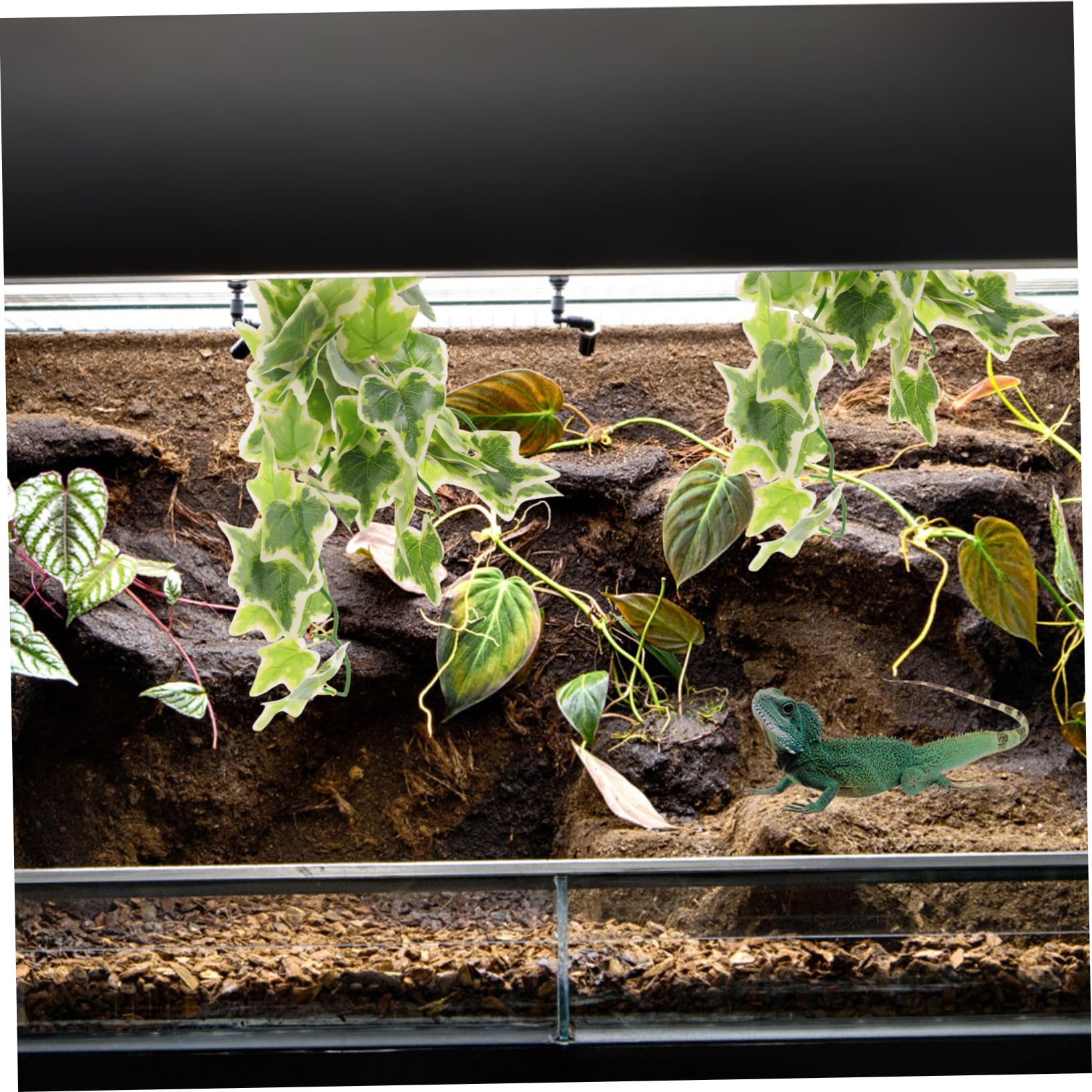 ibasenice 5 Pezzi rattan artificiale pianta Rettili Alto impostore arredamento di terrario rettile piccolo acquario piante acquatiche finte arredamento del terrario del deserto plastica