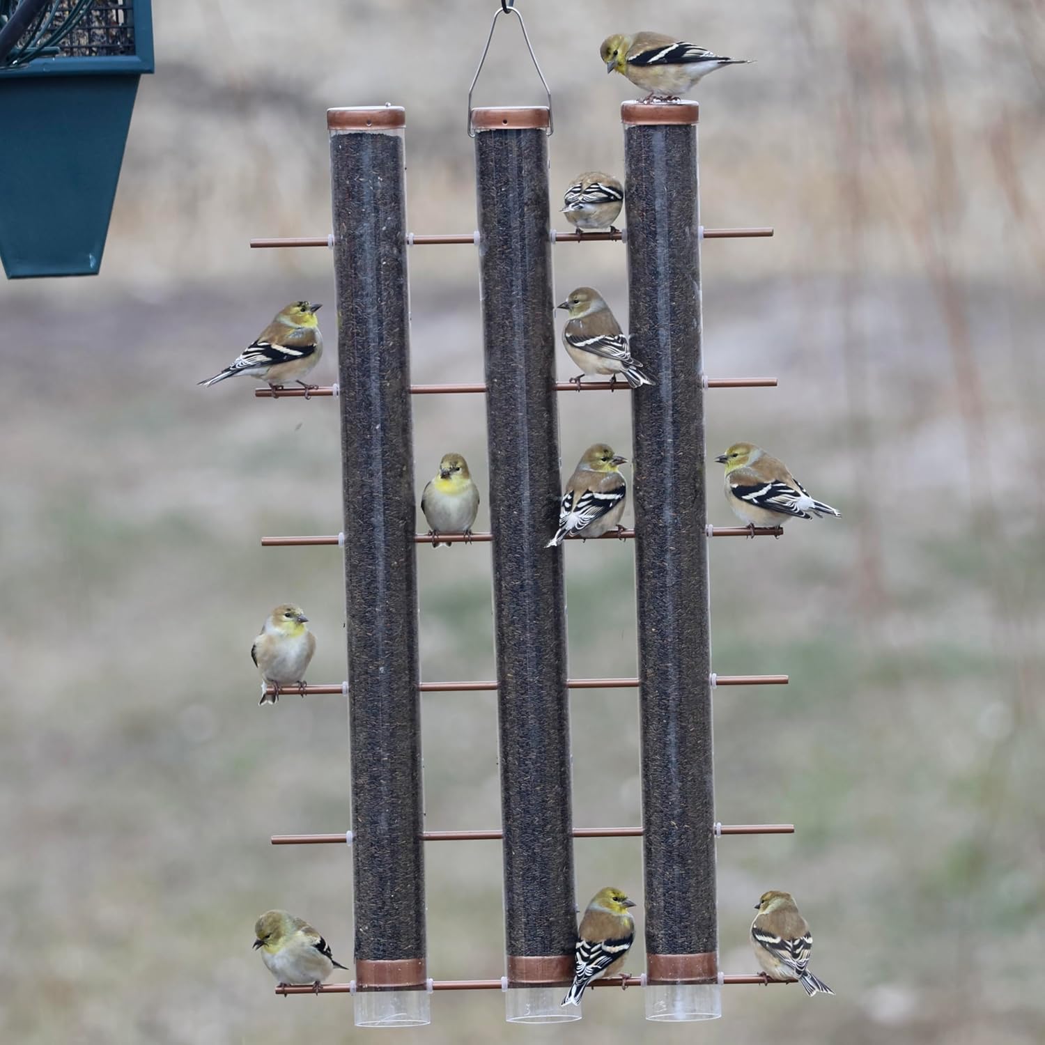 Songbird Essentials Finches Favorite Brushed Copper 3 Tube Thistle Feeder - 24-Bird Capacity - Nyjer Seed - Metal Caps and Perches - Large Goldfinch Feeder Outdoors