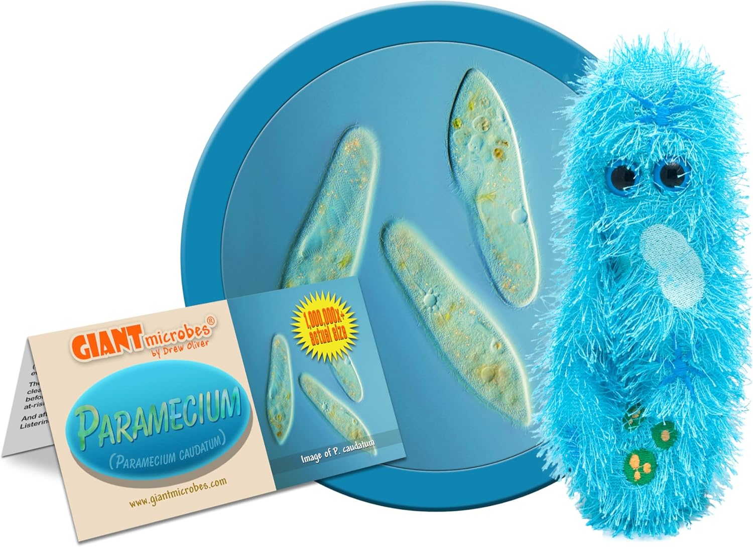 GIANTmicrobes Paramecium Plush – Learn about Nature and Complex Single-Celled Organisms with this Fun Gift for Family, Friends, Students, Teachers, Scientists, and Anyone with a Healthy Sense of Humor