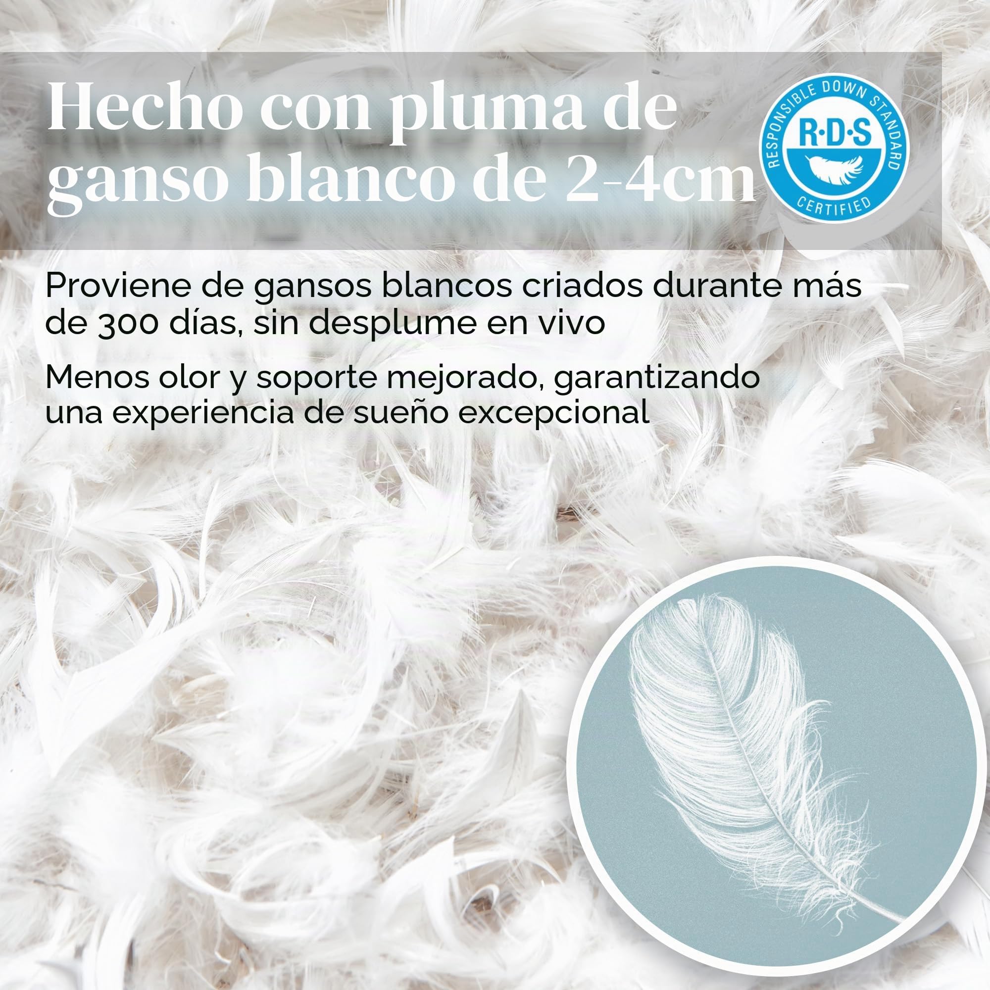 Deodar Almohada de plumón y Pluma de Ganso, 100% algodón Transpirable con Funda, Suave y cómoda, Lavable a máquina, certificación Oeko-Tex y RDS, 40 × 70 cm, Blanco