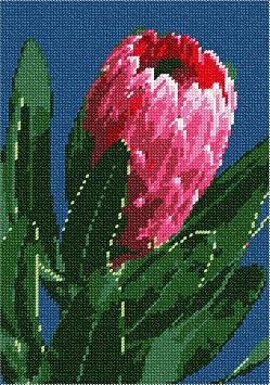 Pepita Needlepoint kit Protea Bulb Up Close, 7" x 10"