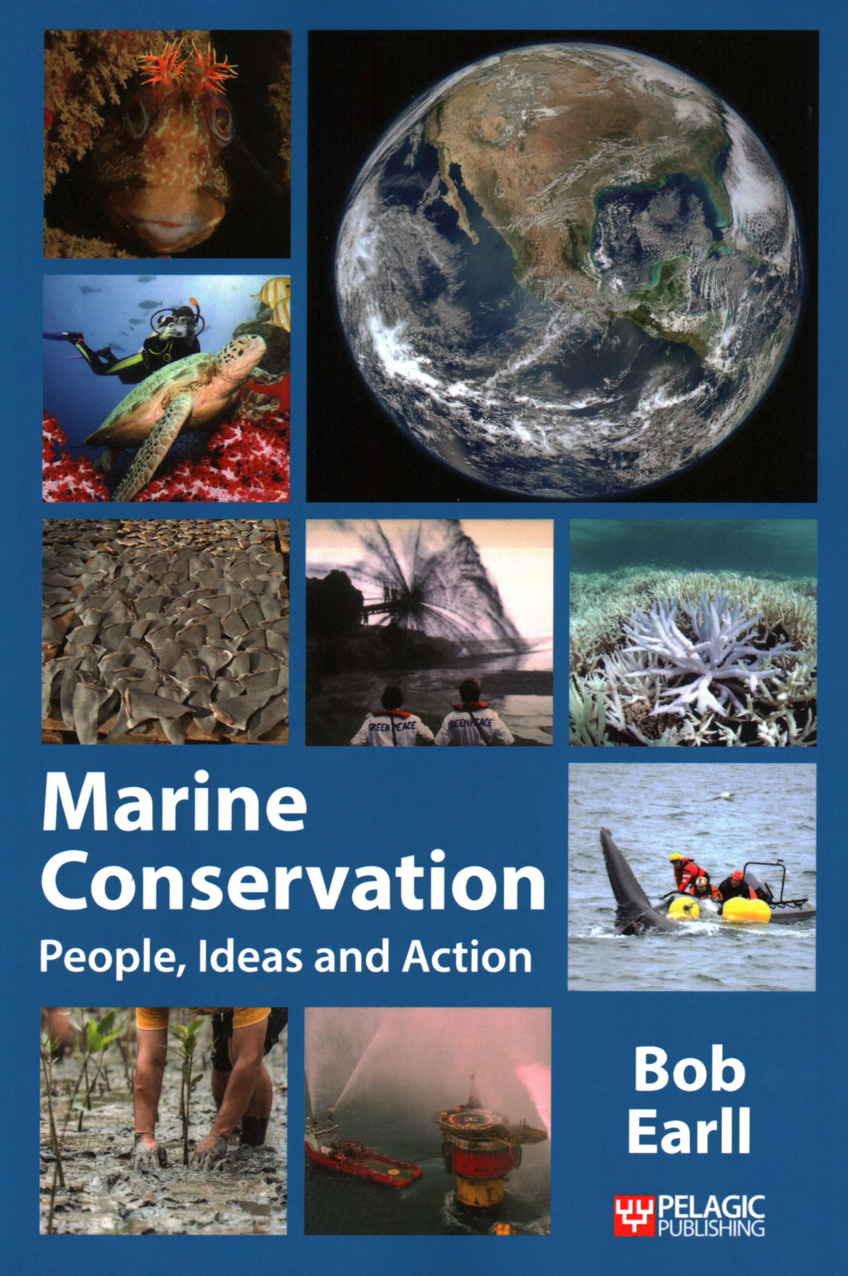Marine Conservation: People, Ideas and Action (Perspectives in Conservation Biology)