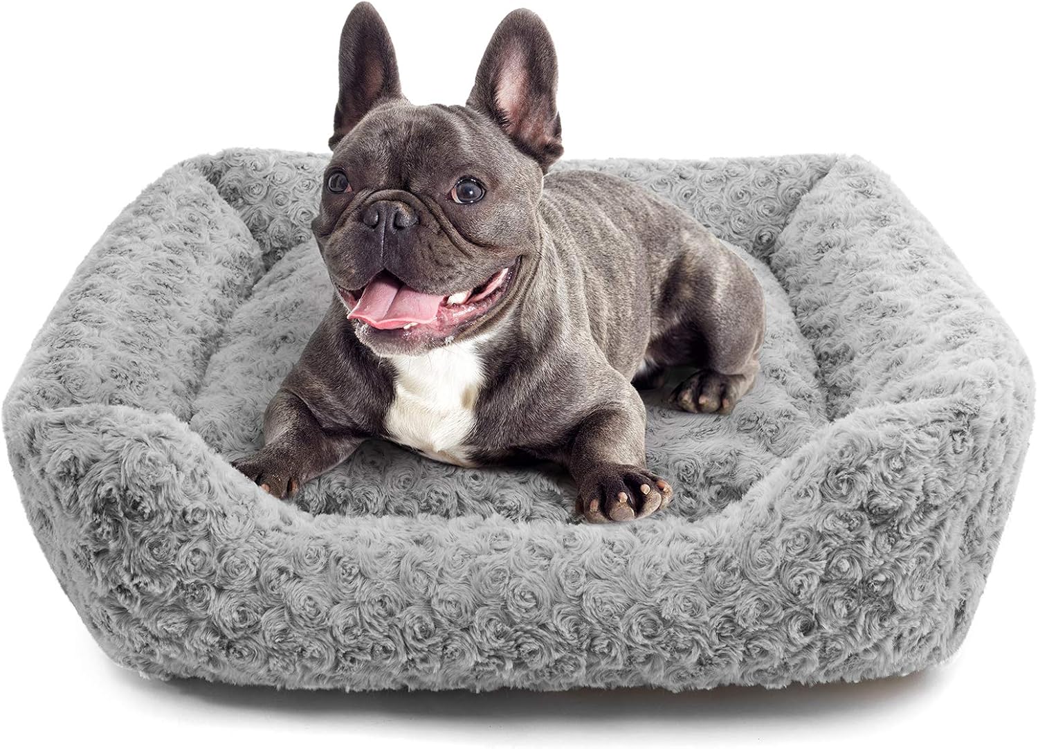 Hollypet Pet Bed, Self-Warming Sofa Bed for Cat and Small Medium-Sized Dog Puppy Rectangle Plush Mat Cushion, Light Gray