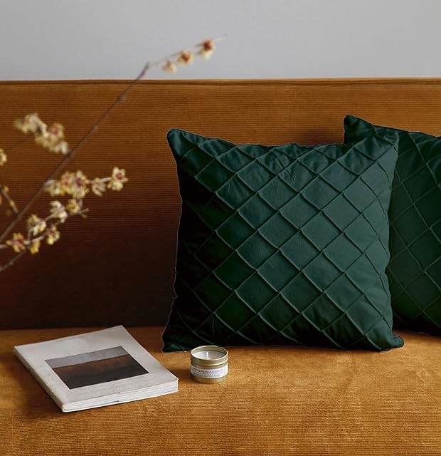 Pagnanno. Set of 2 Soft Velvet Cushion Covers 45x45cm(18x18 Inches) Squares Throw Pillowcases Cushion Covers for Chairs,living room,bedroom with Invisible Zipper (18"x18" (Pack of 2), Forest Green)