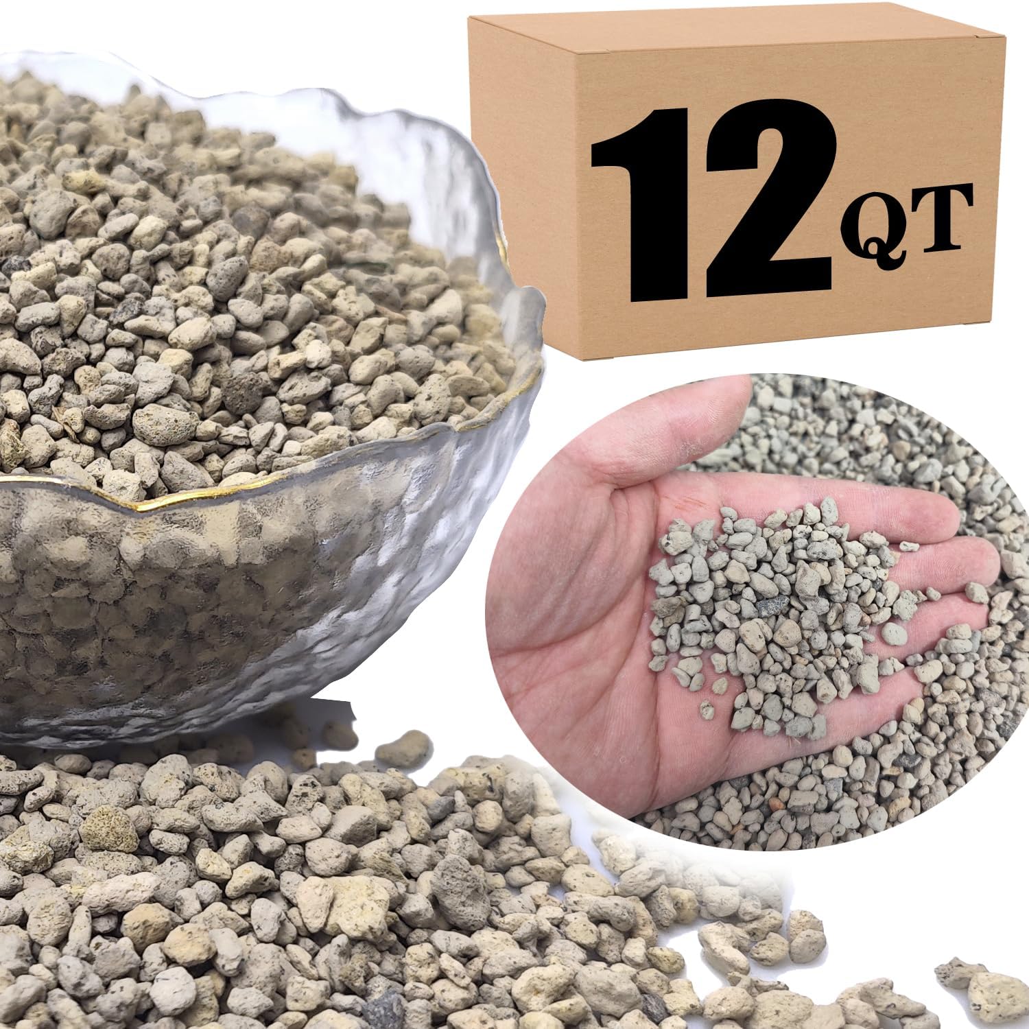 Bonsai Jack 1/4 inch Horticultural Pumice Soil Amendment