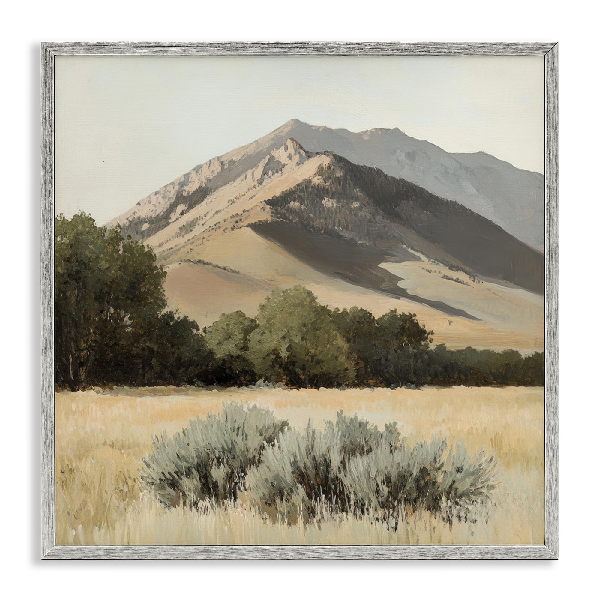 Tableau Montagne Blanc 43x43 cm encadré Stupell Industries par Petal Prints Design
