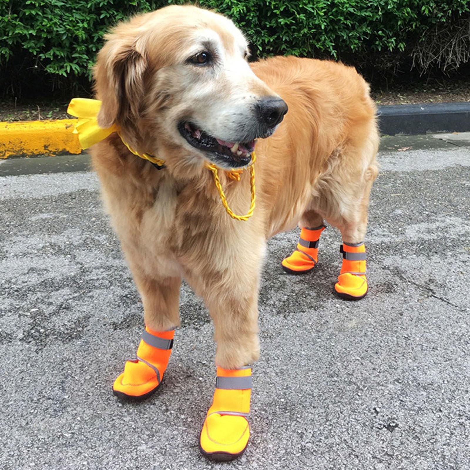 4Er-Set Hundeschuhe, Atmungsaktive Hundestiefel Mit Pfotenschutz Und Reflektierenden Riemen Für Holzböden Und Den Außenbereich, Hundeschuhe Für Kleine, Mittelgroße Und Große Hunde,Orange,XL