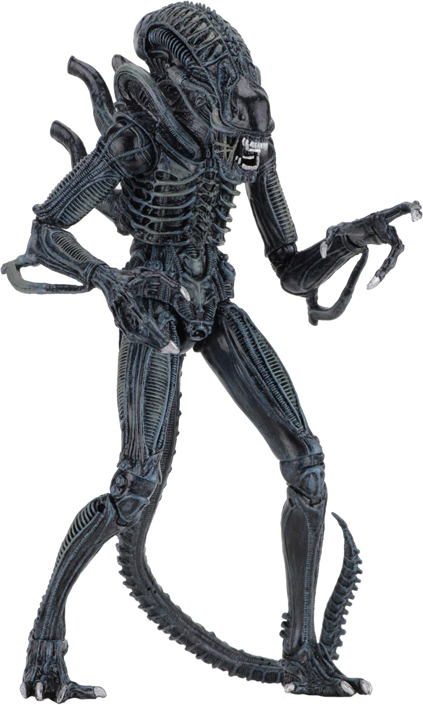 Alien- 7" Scale Action Figures - Ultimate Warrior - (1986) Blue Alien