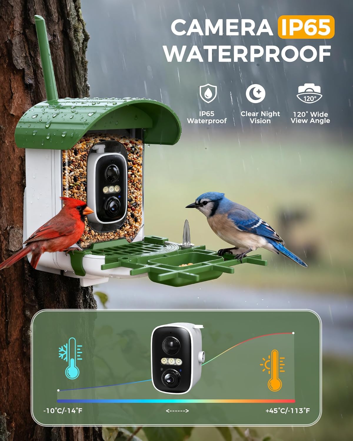 Bird Feeder with Camera, 10000 AI Smart Bird Feeders Solar Powered, 2.4G WiFi, 2K HD and Instant Alerts, Bird House Feeder for Outdoors, Ideal for Parents, Lovers(Green)