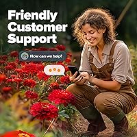 Vista 388 de HOME GROWN Más de 1000 semillas de cilantro para plantar en interiores o exteriores, hierbas tradicionales sin OMG, semillas de plantas de cilantro