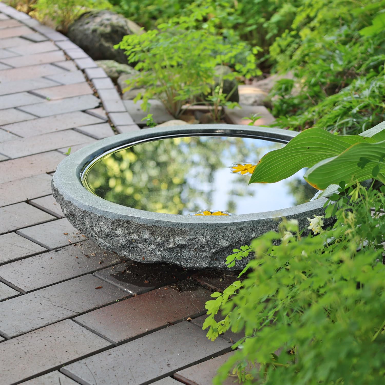 CLGarden Naturstein Wasserschale GVT2 aus Granit Ø 46cm Vogeltränke groß Garten Stein Boden Vogel Bad frostfest