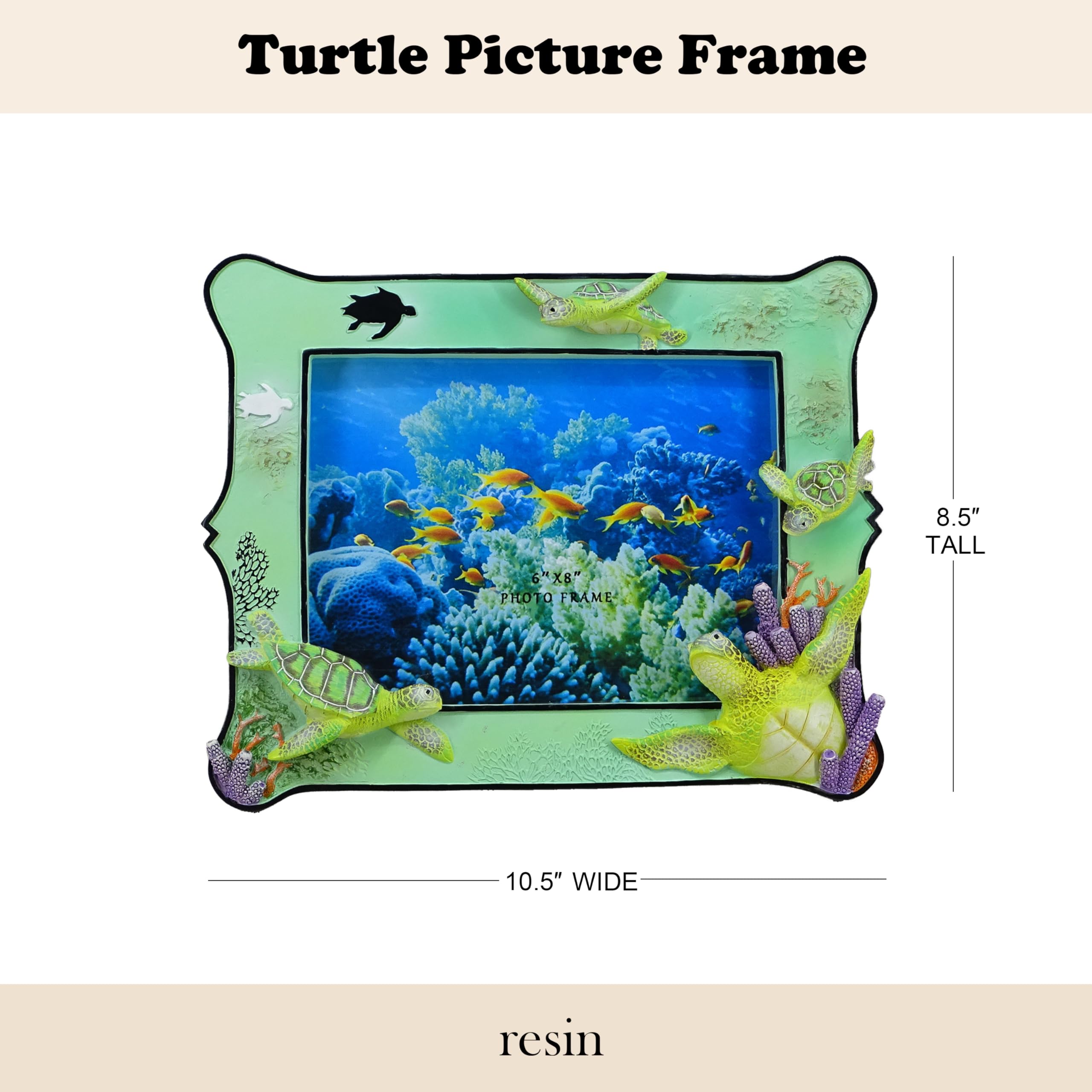 Amazon.com - SEAKINGDOM YHH 6x8 Inch Sea Turtle Resin Picture