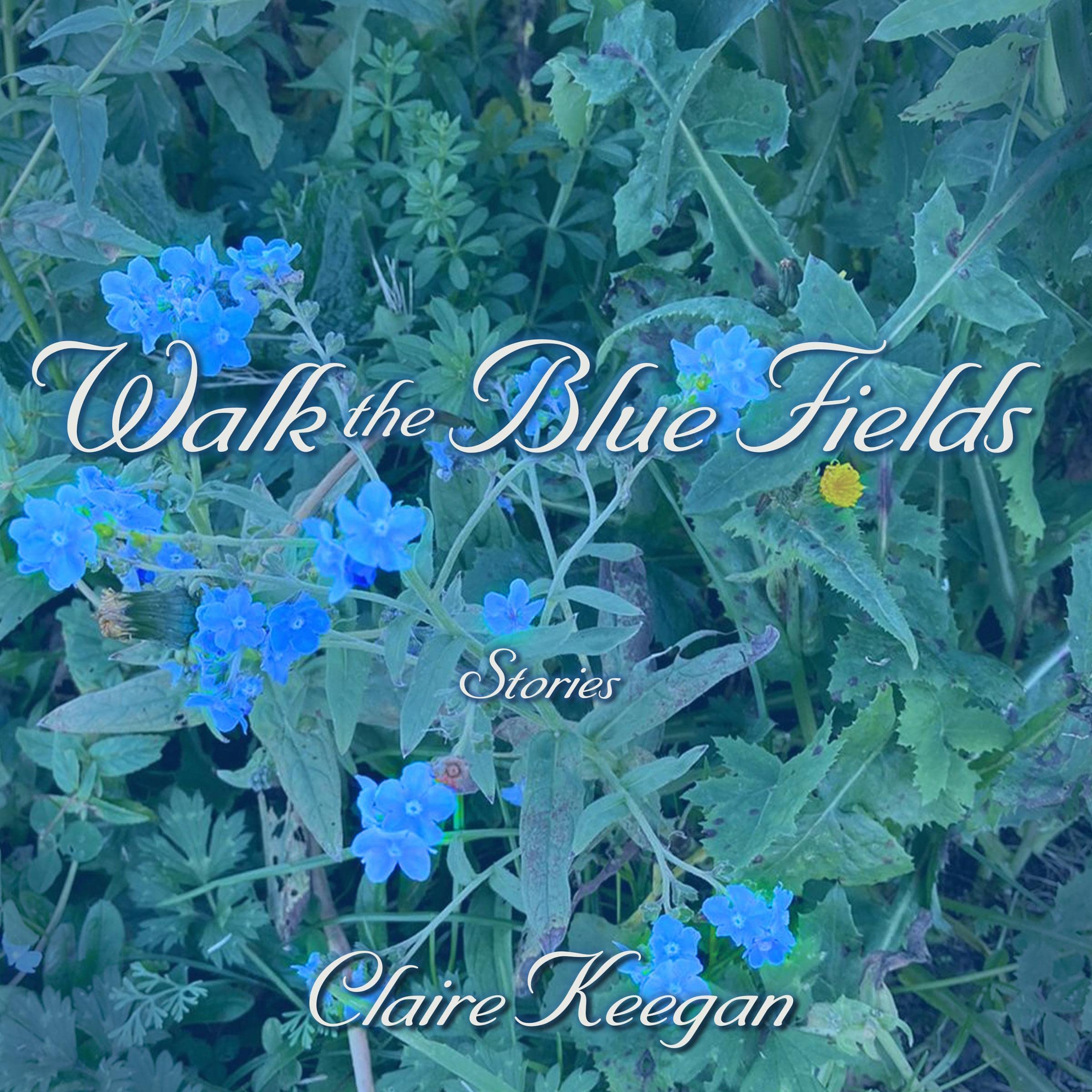 Cover art for Walk the Blue Fields