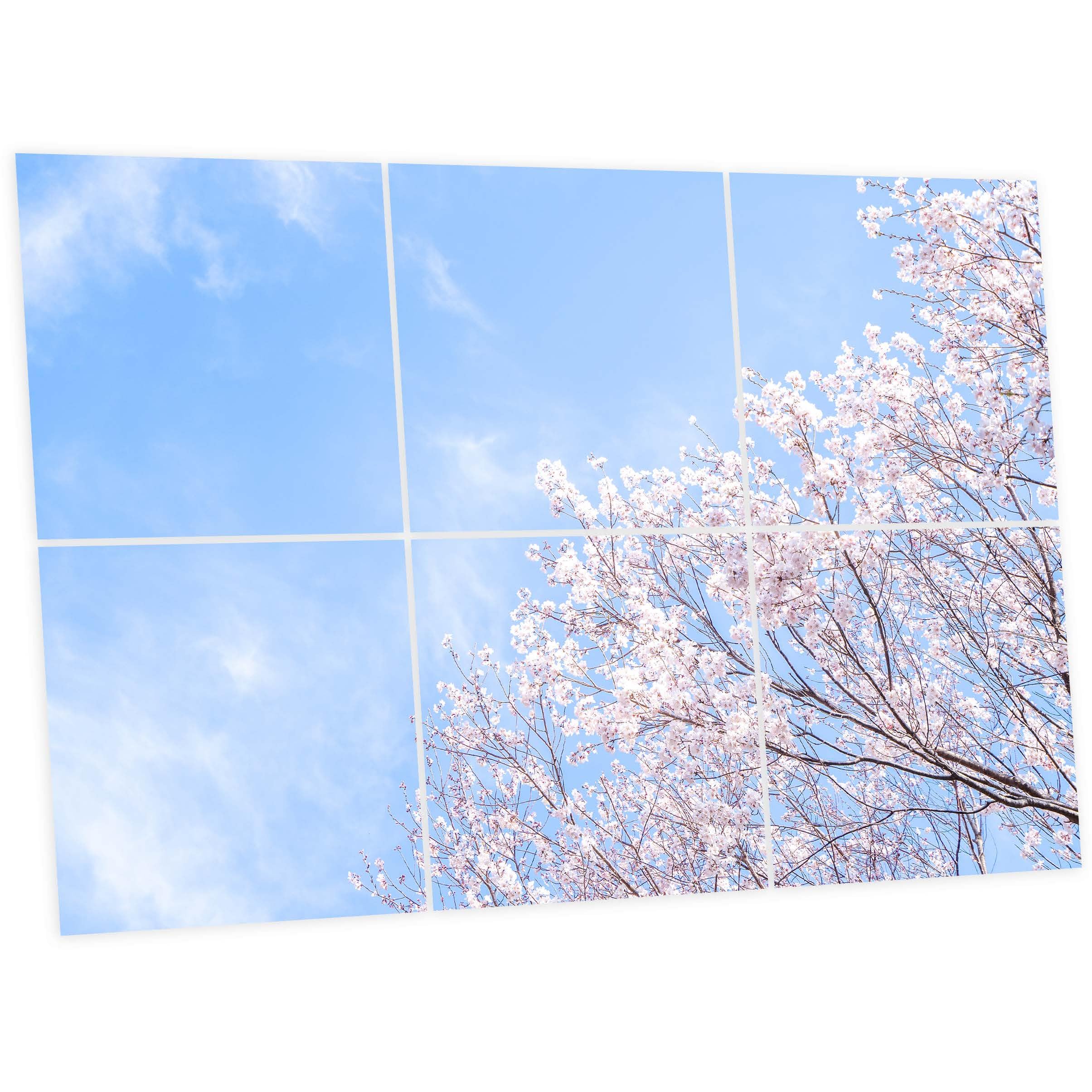 Générique Pack de 6 Dalles LED Imprimées 60x60 cm - Motif Nuances Roses - Lumière Blanc Neutre 4000K - Panneaux Lumineux Plafond Bureau Salon Cuisine - Faciles à Installer
