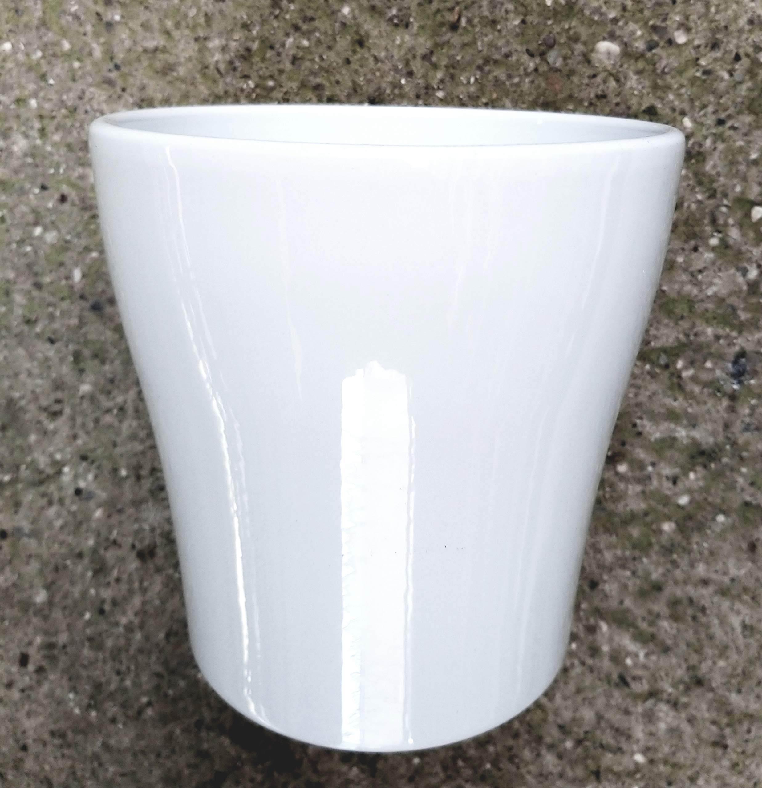 POWERS TO FLOWERS - CAMBRIA ARANCIO, ORCHIDEA IN VASO CERAMICA BIANCO, pianta vera